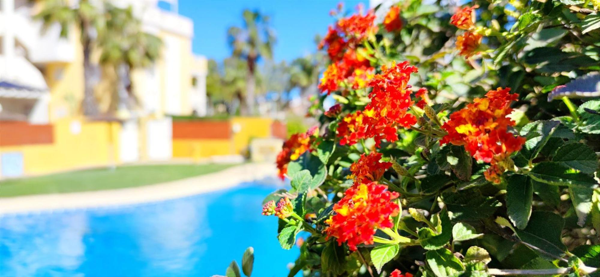 Apartamento Playa Sol By Denia Costa Eksteriør billede
